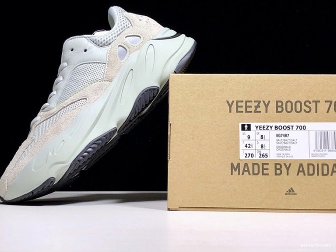 Salt Boost Adidas Yeezy v2 700 EG7487 0707